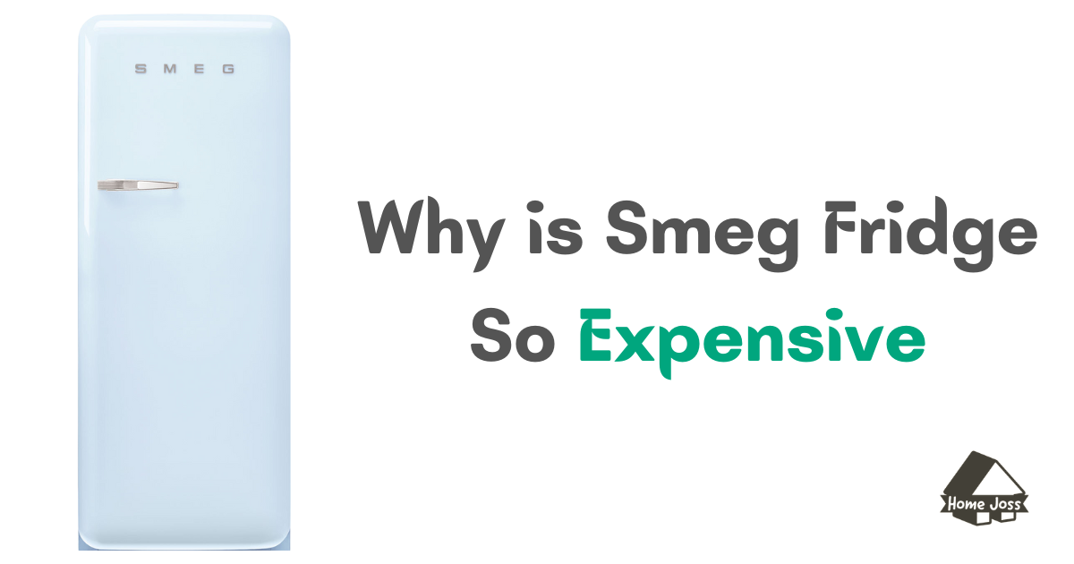 Why is Smeg Fridge So Expensive